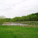 lake minnetonka area acreage for sale