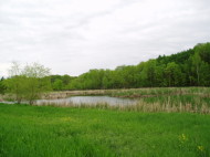 lake minnetonka area acreage for sale